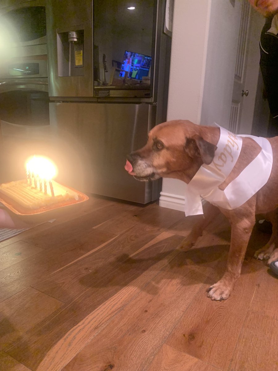 Amabel Puga tweet media