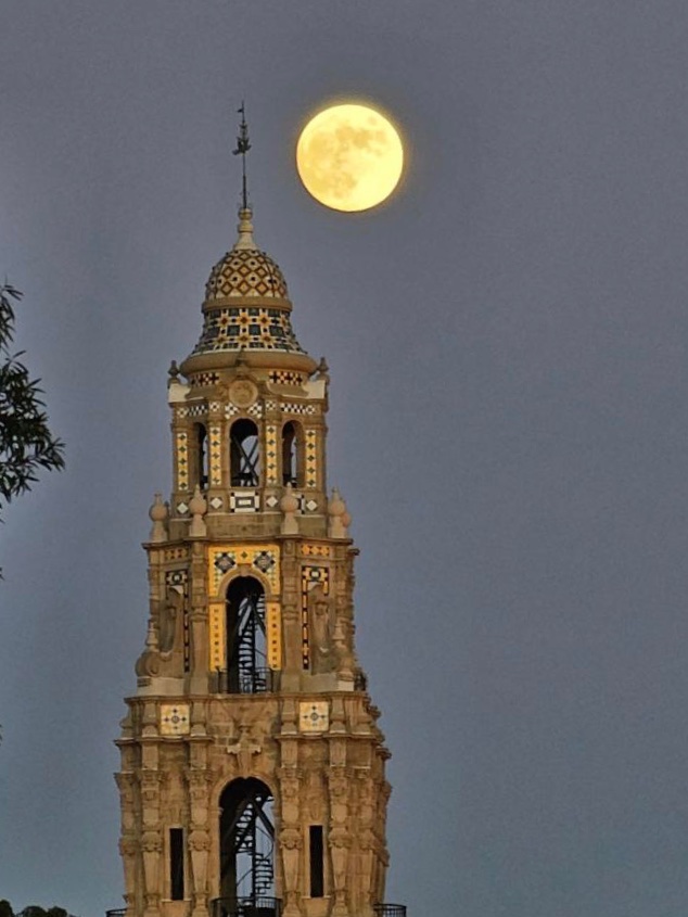 About a half ago, taken from the dog park at Balboa Park. #sandiego <a href="/BalboaPark/">Balboa Park</a>