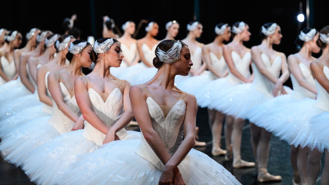 TheAusBallet's tweet photo. One last trip to the Lake at @qpac tonight! Thank you to our Brisbane audiences for a beautiful week of performances 🤍🦢 

Artists of The Australian Ballet
Photo: Brodie James https://t.co/545dN4OBSx