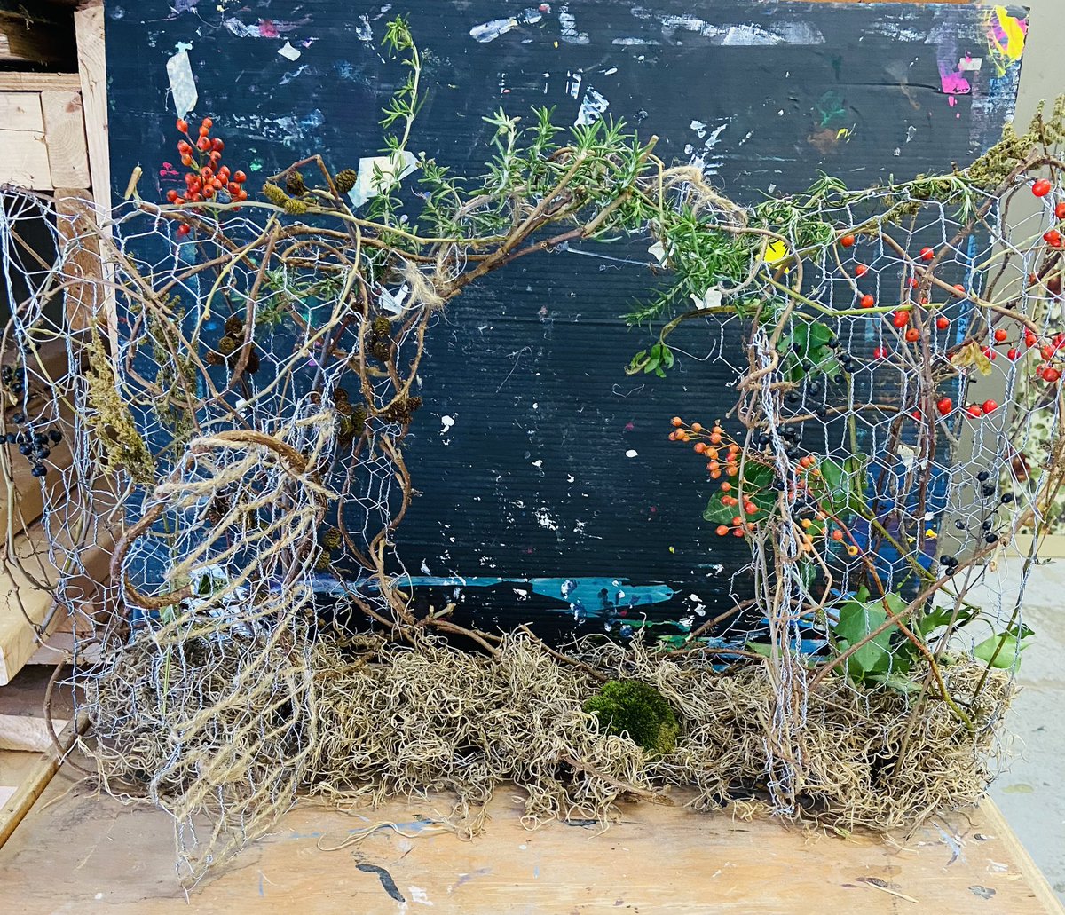 Catherine Thompson tweet media