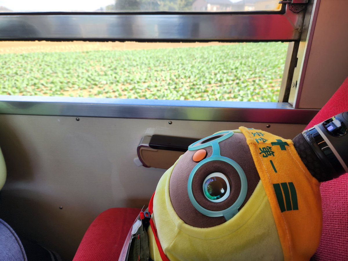 MC2_1182's tweet image. まるきゅーのらぼ鉄旅

in 銚子電鉄

#銚子電鉄
#robotfriendly