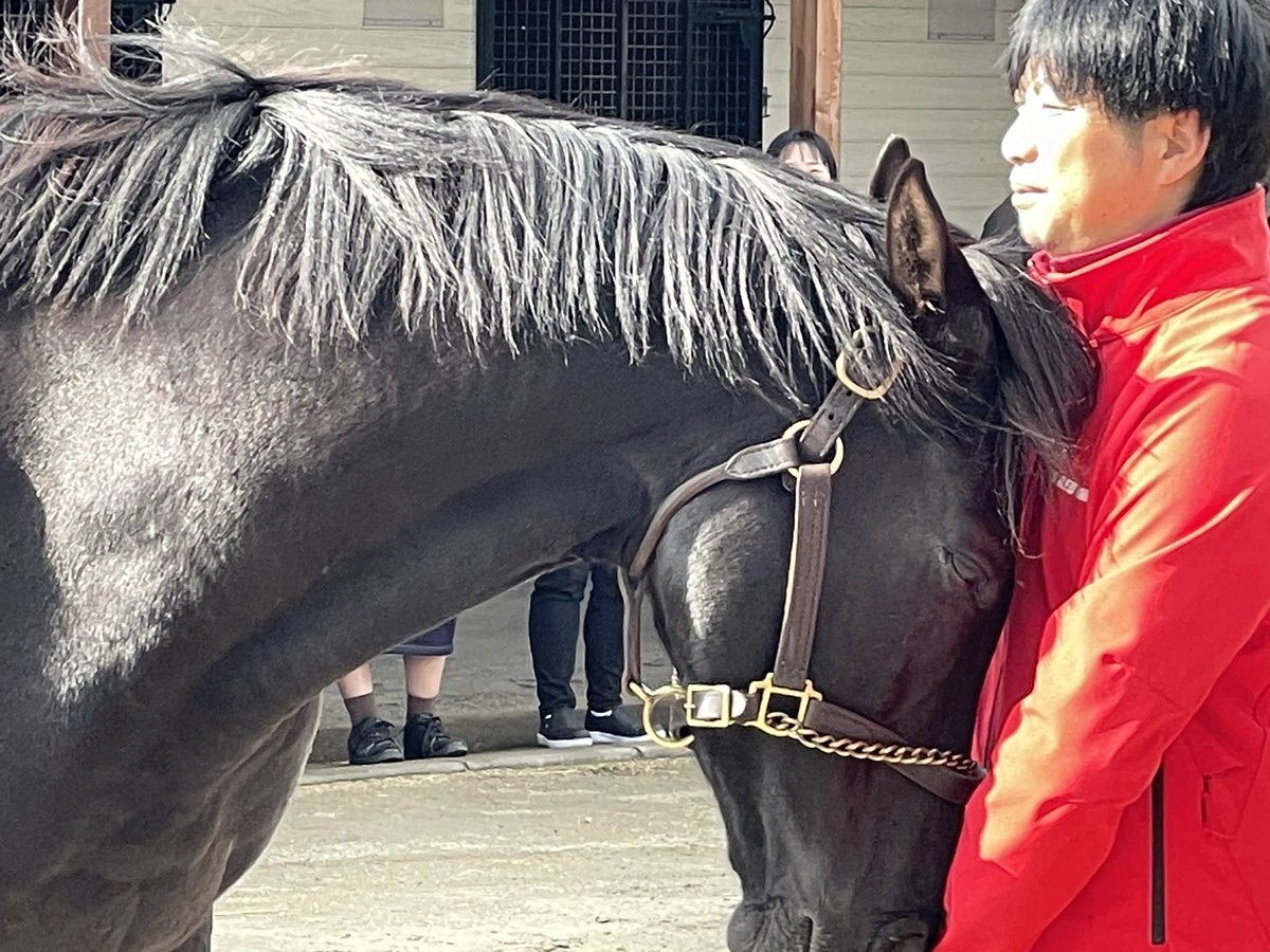 うっちー (@ErhYjro7) / Posts / X