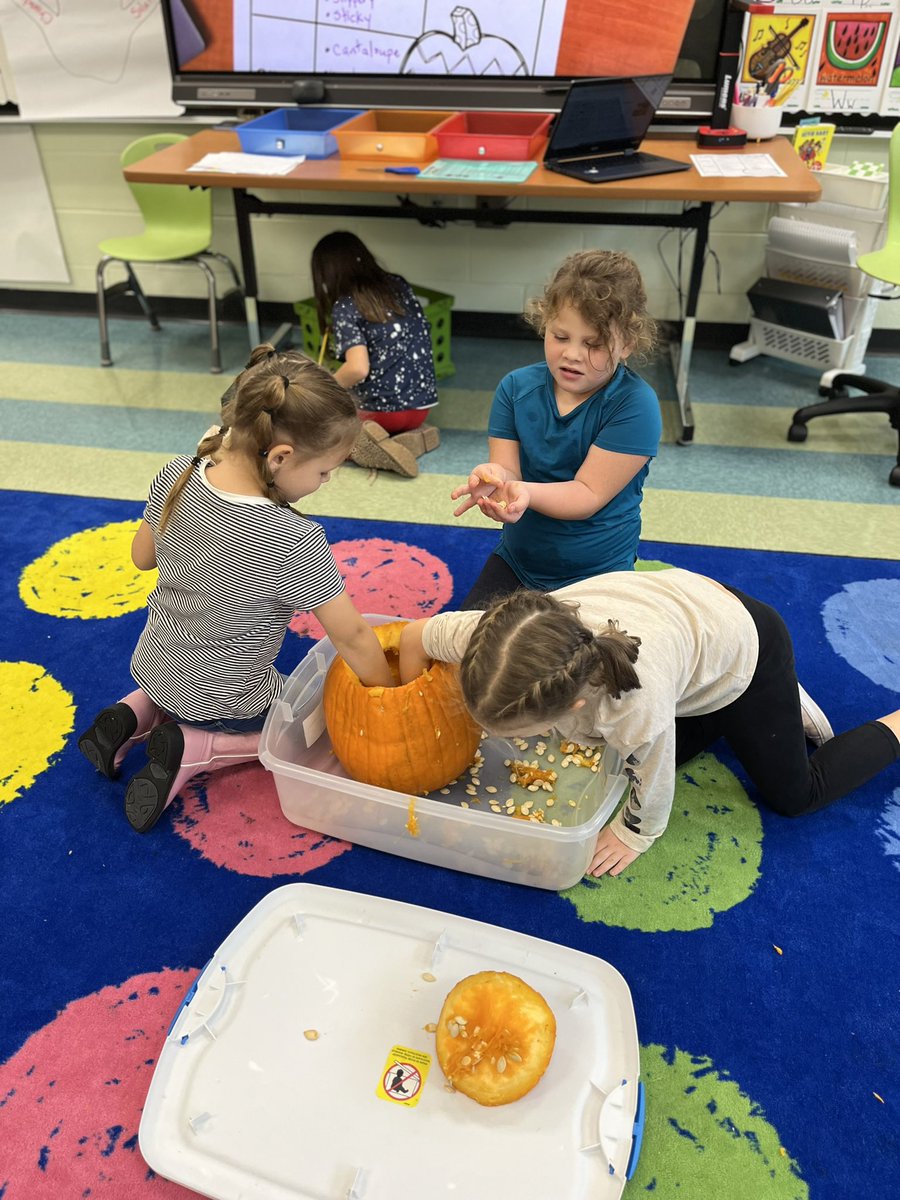 Samantha Senger tweet media