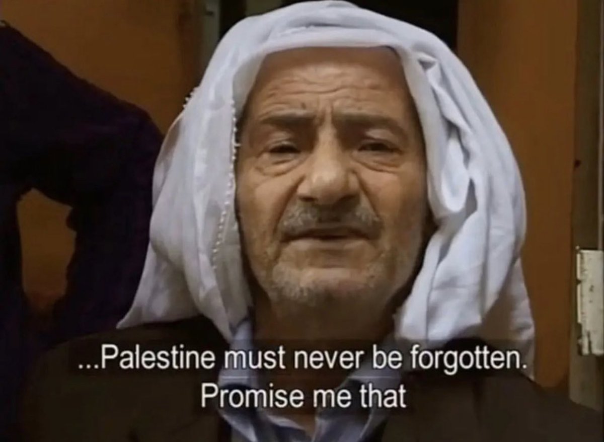 We will always be here. 🇵🇸🕊️💔