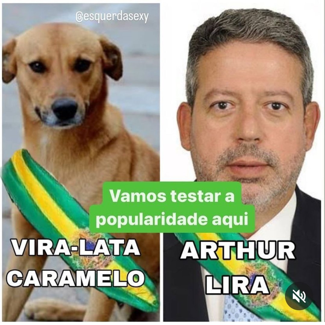 Lia De Sousa tweet media