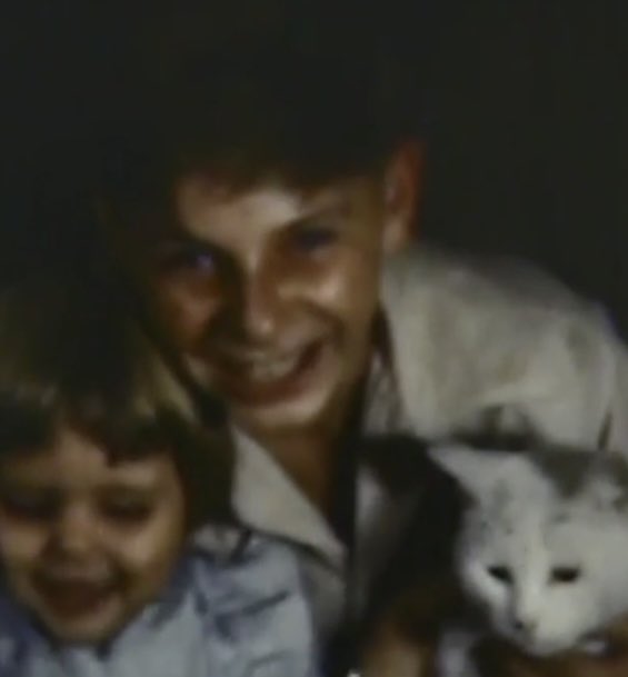 Mushrooms Are Alien tweet media