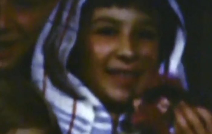 Mushrooms Are Alien tweet media