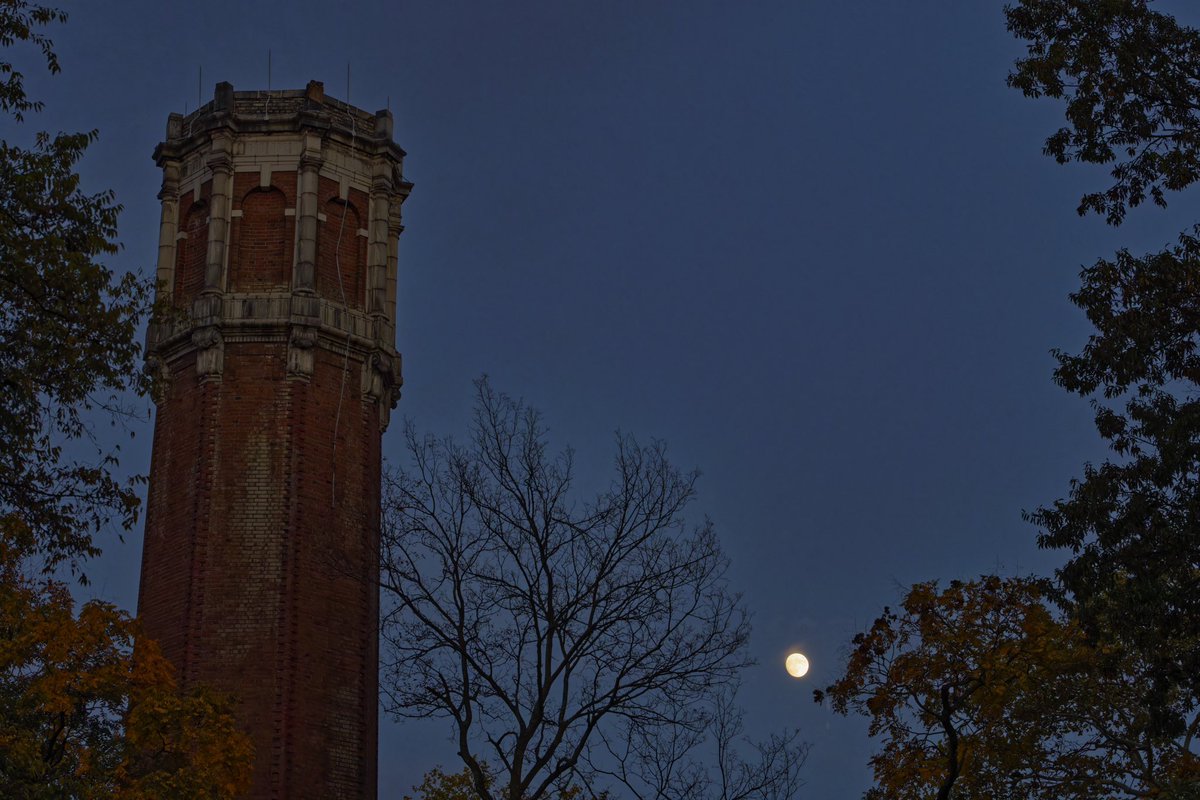 VanderbiltU's tweet photo. Have a safe and happy Halloweekend, ‘Dores! 🕷️🎃🦇 https://t.co/T8w78xmARm