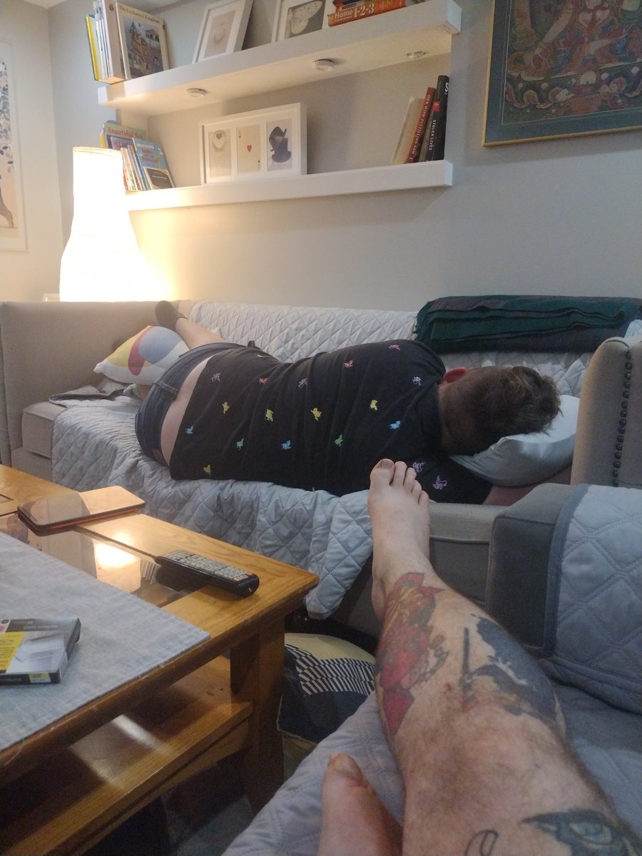 Deck list submitted chilling before bed but this guy has sleeping off and on all day. So much for testing. Toronto Pokemon Regional 2024