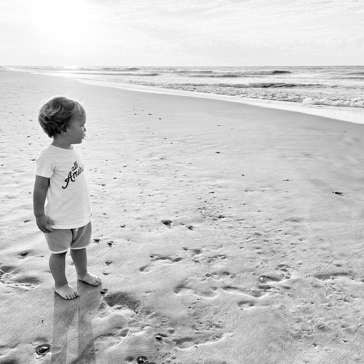 Colin Doll tweet media