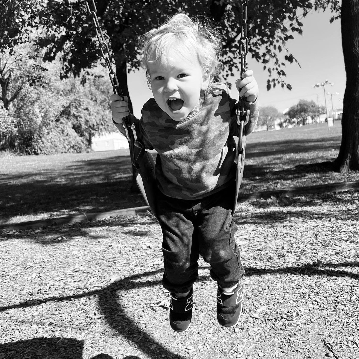 Colin Doll tweet media