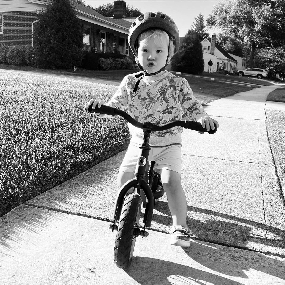 Colin Doll tweet media