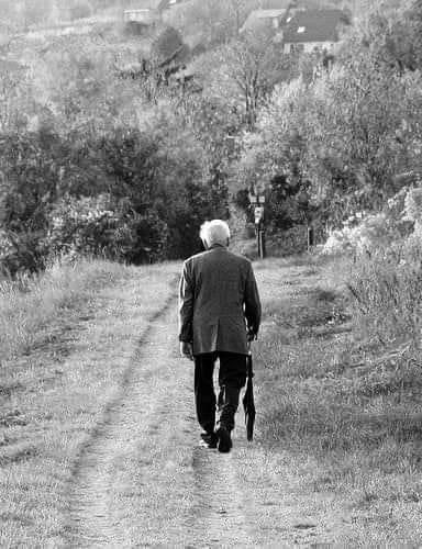 JoseFerreiraj94's tweet image. El poema más hermoso de Amado Nervo:

EN PAZ. 

Muy cerca de mi ocaso, 
yo te bendigo, vida, 
porque nunca me diste 
ni esperanza fallida, 
ni trabajos injustos, 
ni pena inmerecida.

Porque veo al final 
de mi rudo camino 
que yo fui el arquitecto 
de mi propio destino.

Que si…