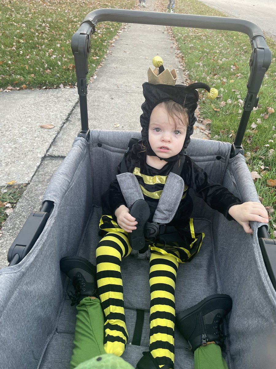 ashstar24's tweet photo. @TheCincyBearcat My little dinosaur and Queen Bee! https://t.co/kkkyTsrJx7