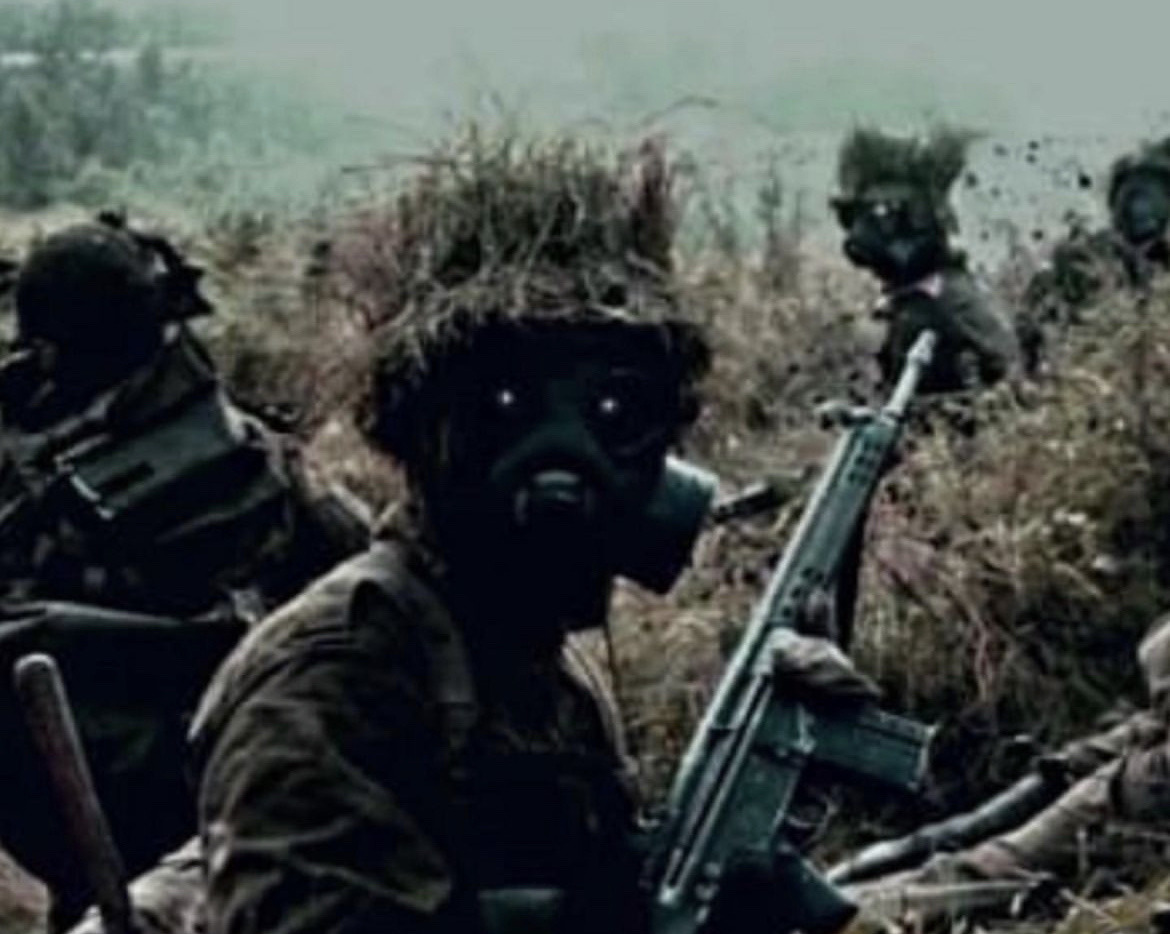 Demorgan tweet media