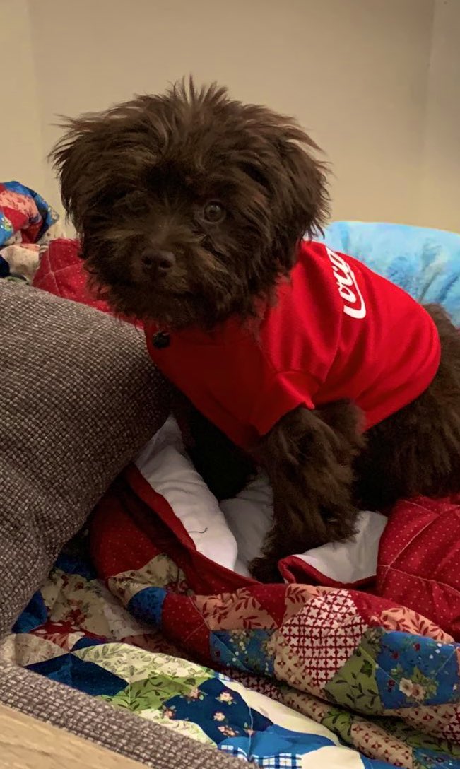 I ordered breakfast cuz Jai’s not home and my dog is staring at me like I don’t feed her… 🥲

I’m sorry, child. Coffee is no no for you.