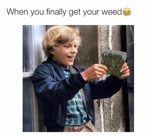 HerbApproach's tweet photo. Forget magic tickets, gimme the bag bro 😆💯
#CannabisCommunity #howhighareyou #cannabismedicinal #canadianstoners #cannabisday #product #canadadabs #giveaway #repost #trivia #canada #cloudsovercanada #22minutes #S #Cut #Sales #Tiptuesday #travel #weekend #cannabiz https://t.co/U6yDqTloSj
