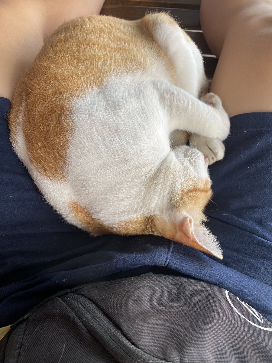 วีระโตเป็นหนุ่มแล้วยังนอนตักพ่ออยู่เหมือนตอนเป็นเด็ก