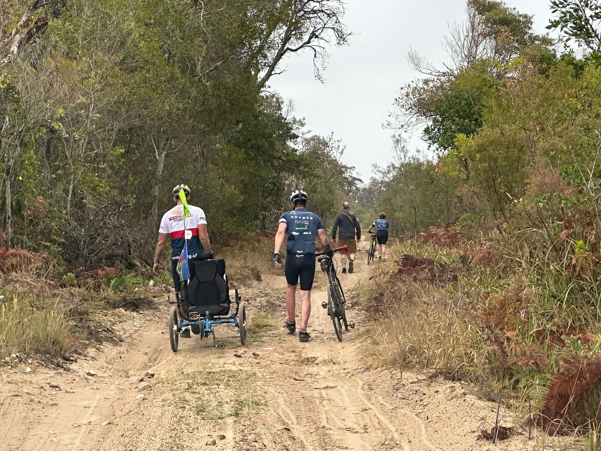 65 Degrees North tweet media