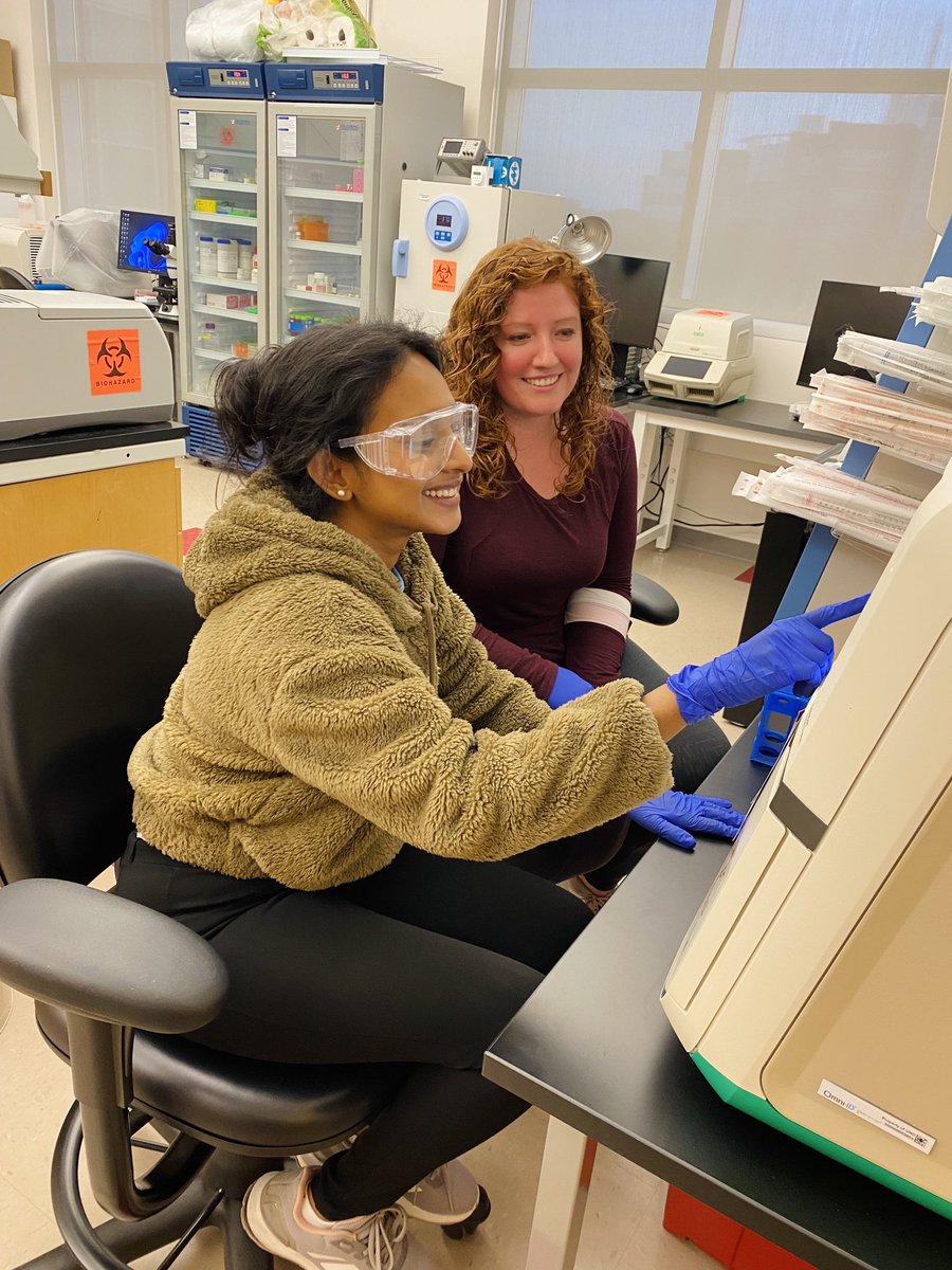 himiamin9's tweet image. When lab experiments results turns out to be just right!💯

#ligation #imaging #Engineering #phdlife