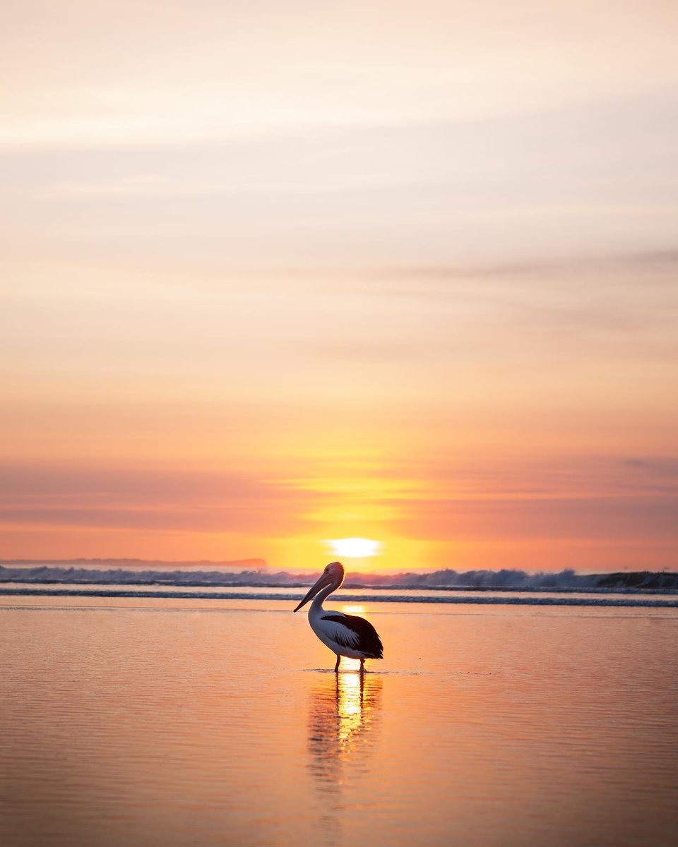 That feeling when you have the beach all to yourself 🌅

📍 Breamlea Beach, <a href="/GeelongBella/">Visit Geelong Bellarine</a>, on Wadawurrung country⁣ 
📸 via IG/paidiflynn