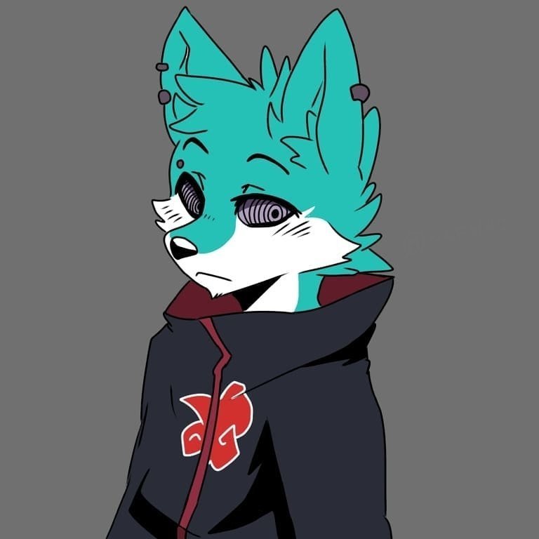 fipfip_3's tweet photo. Hiiii
one of my old drawings that I like the most !β€οΈ
Is anyone here also a Naruto fan? πββοΈ let's make friends πππ₯
#art #furry #furryart #artfurry #naruto #narutoshippuden #narutopain #Akatsuki #furrynaruto #narutofurry #icon #furryicon #furrynsfw #furryfandom #furryoc https://t.co/Uu8GJe6KtG