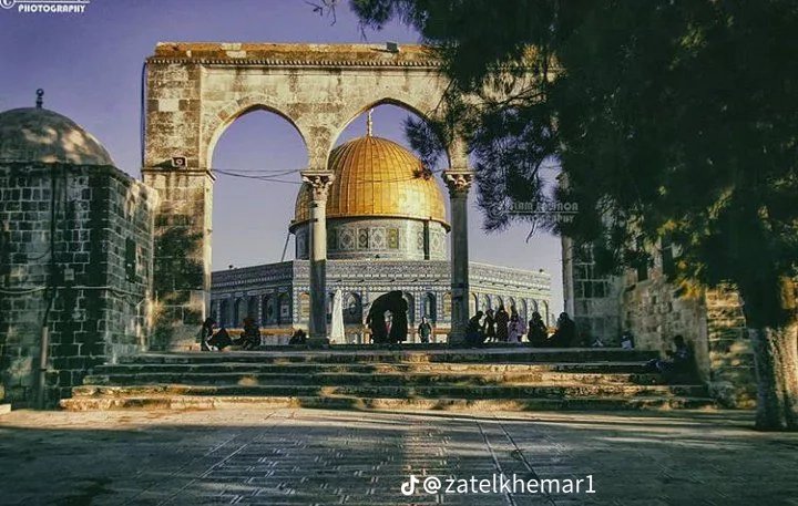 Caspar 👻 tweet media