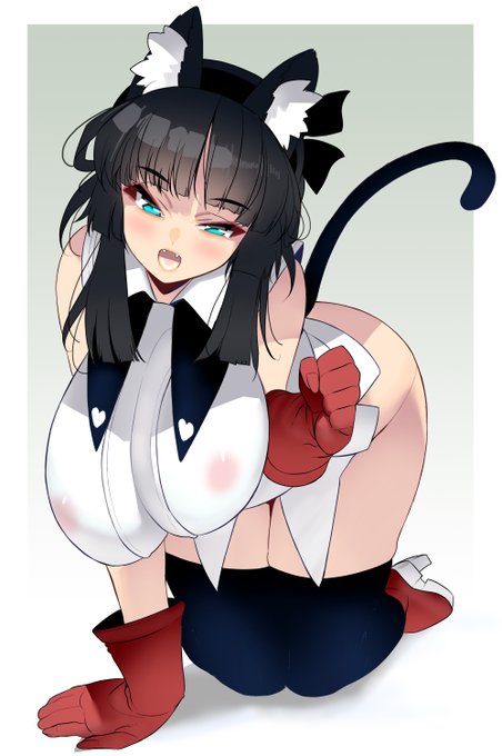 ムチムチ猫さん
https://t.co/0Th2lm2CBC 