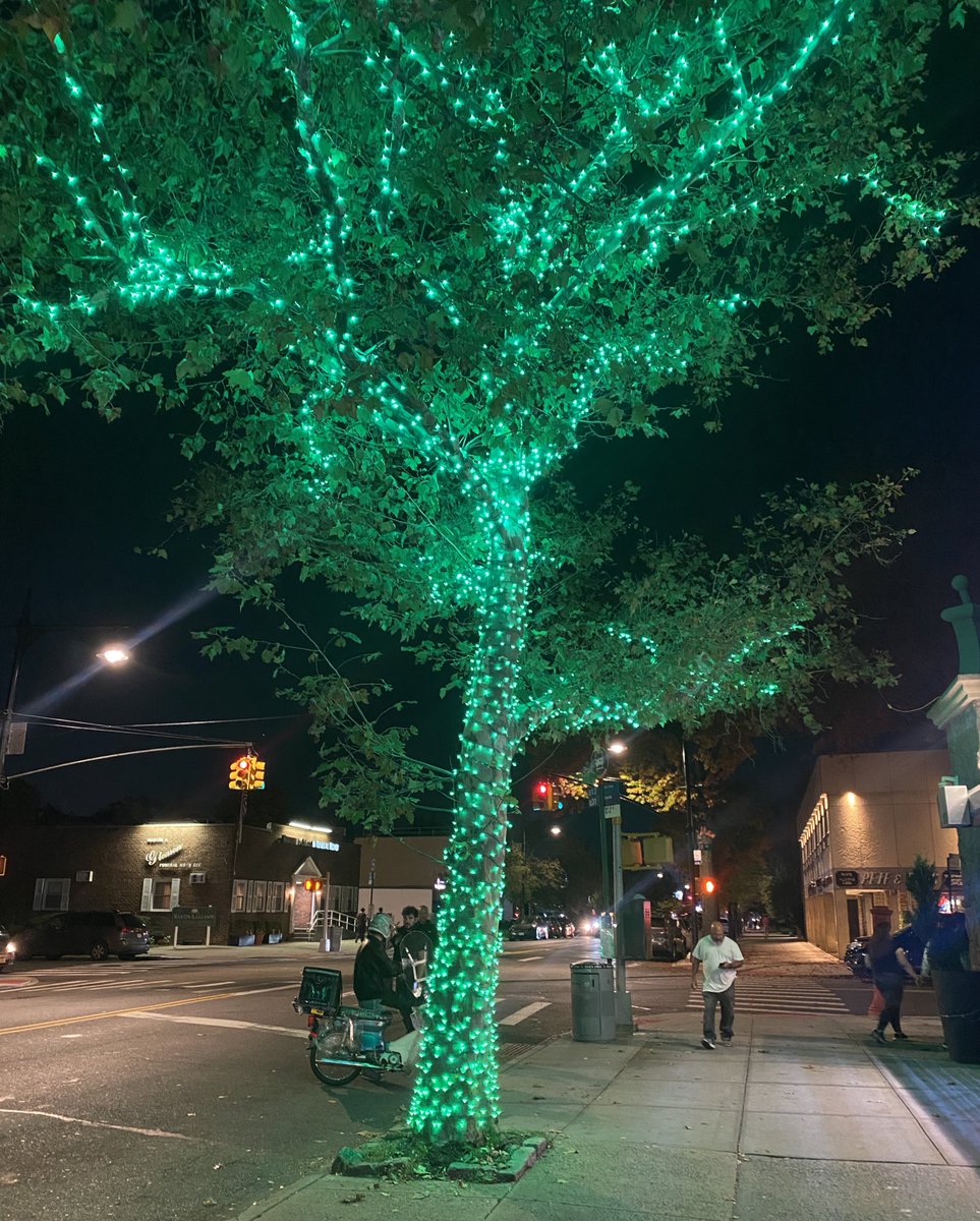 Chanimal 🍌 $APE 🦍 Noya tweet media