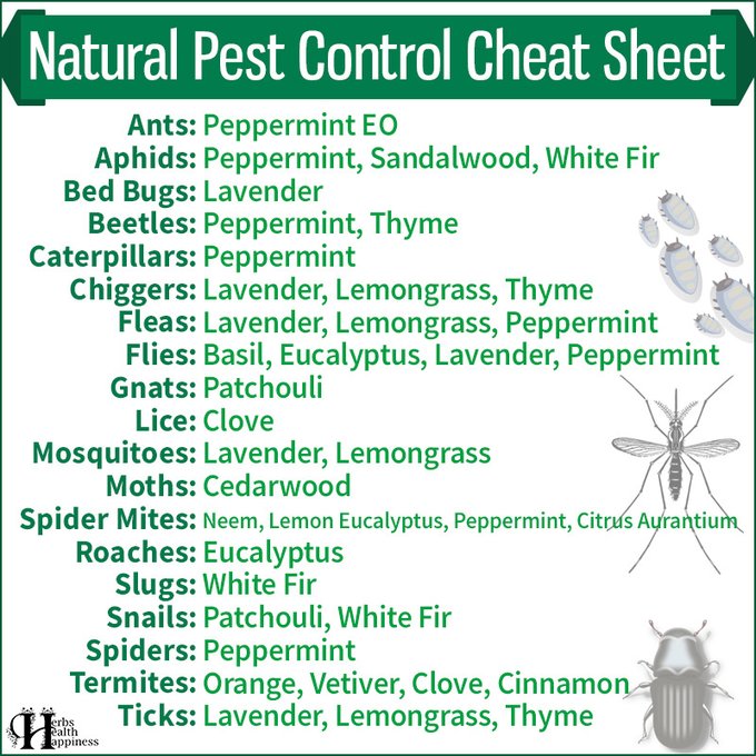 OrganicLiveFood's tweet image. Tick Tock Naturals® entirely new type of natural #insectrepellent utilizing hydrophilic oils, selected as the skin #repellent as a part of a tick bite prevention kit (PGA Junior League  &amp;amp; American Junior Golf Association Bay Area #Lyme Foundation.

ticktocknaturals.com
