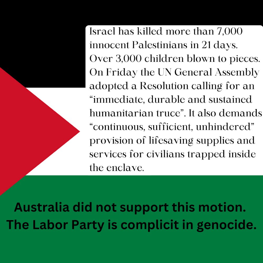 Call out every government enabling this monstrosity but especially your own. I will be campaigning against Labor until the day I die and the campaign will not be “preference the Greens”, it will be “put Labor last”. Every one of these narcissistic ghouls needs to go.