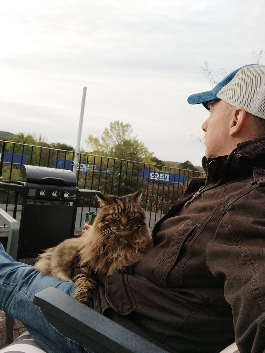 Hanu the Cat tweet media