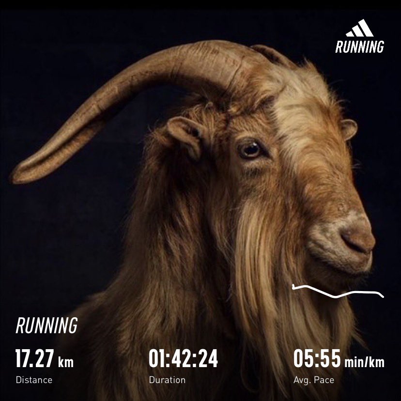 bin_sanusi's tweet image. #weekendroutine 
#NeverGiveUp 
#SaturdayMotivation 

Like it's my last.