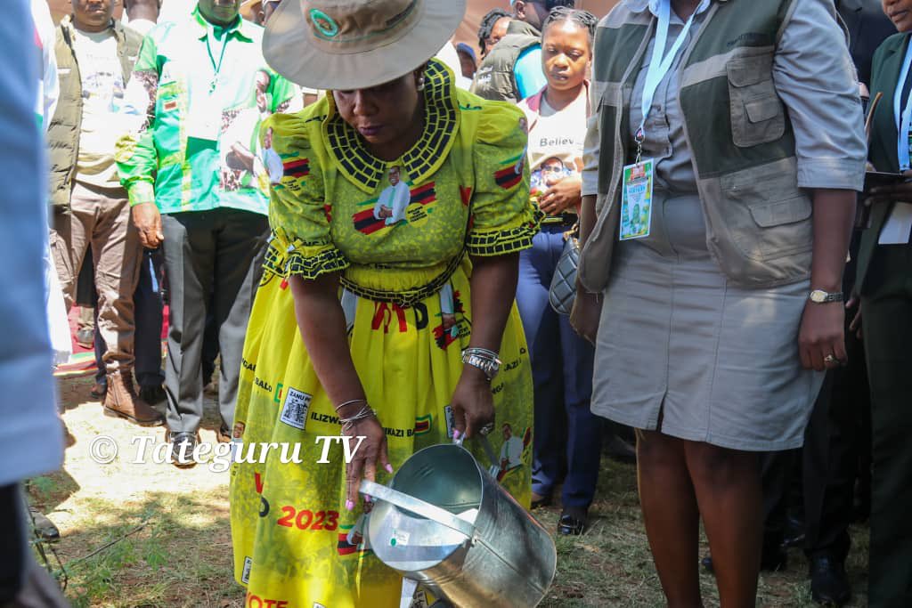 nickmangwana's tweet photo. Teamwork. Cute. 
@edmnangagwa &amp; @ZimFirstLady https://t.co/npRZCLrlPs