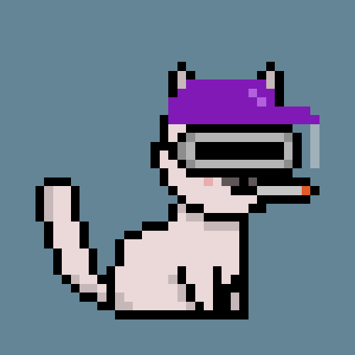 stellacat.eth tweet media