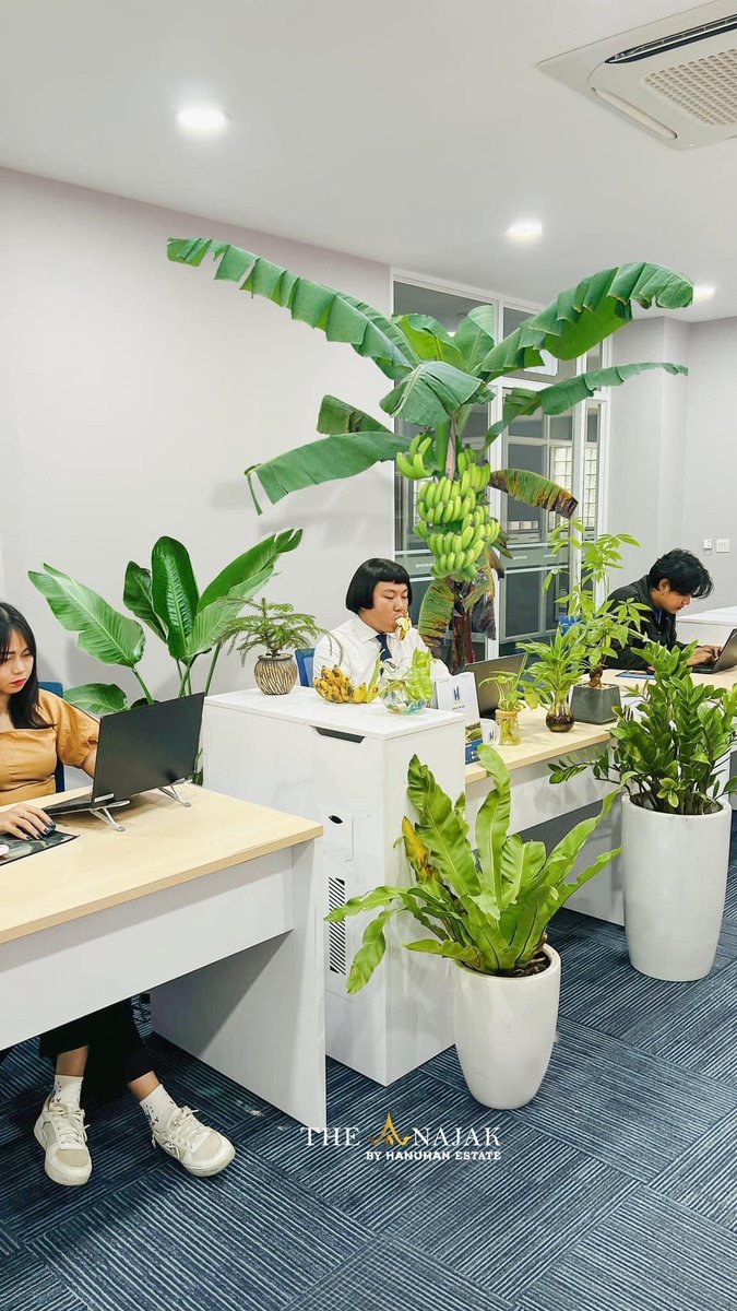 txtfrombrand's tweet photo. Kalian pasti punya temen kantor yang mejanya harus ada tanamannya https://t.co/X1c6gOmBWr