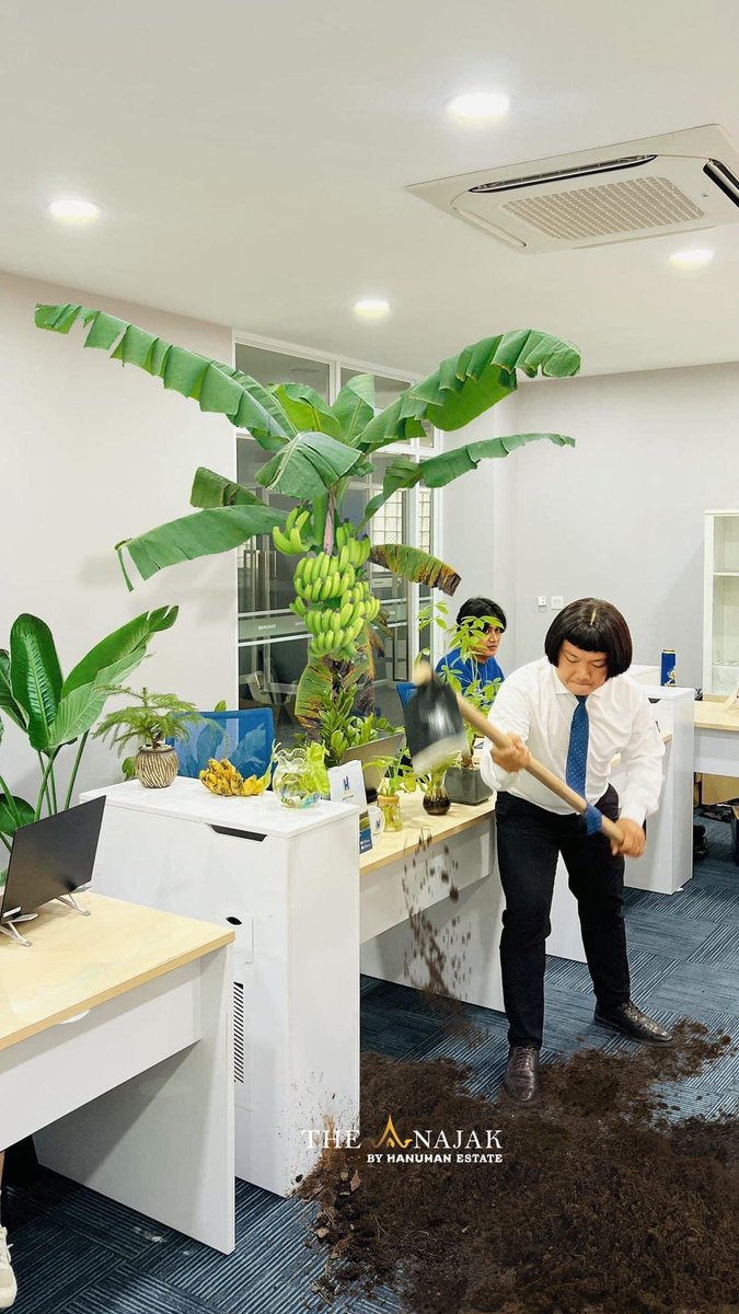 Kalian pasti punya temen kantor yang mejanya harus ada tanamannya