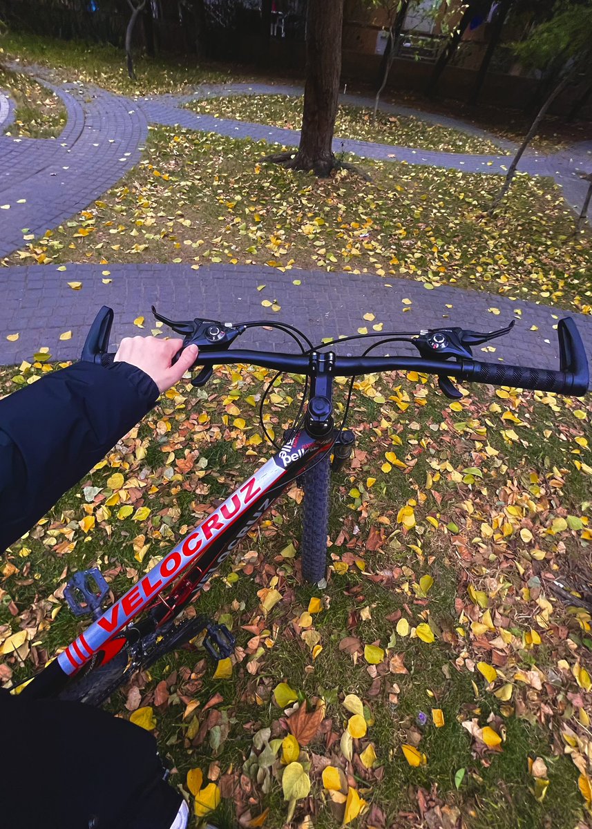 ulkr_'s tweet photo. 🍂 https://t.co/XlY8CbmNSS