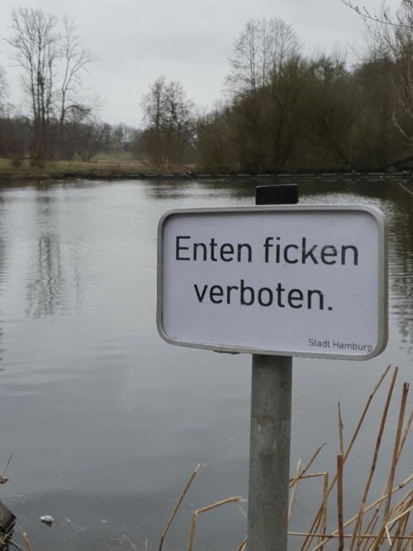 Marie von den Benken tweet media