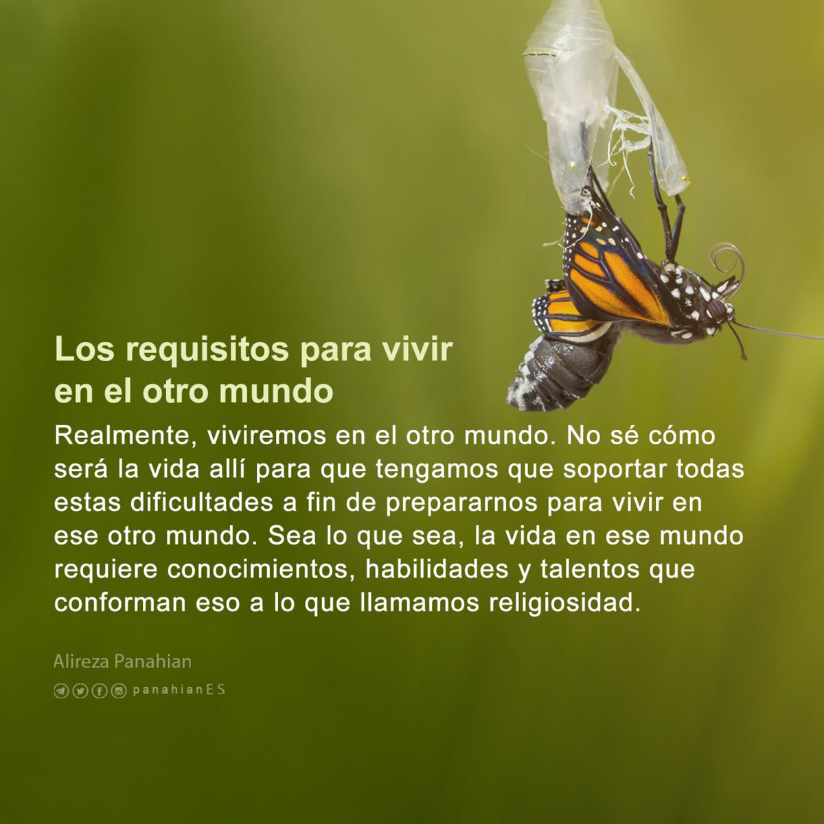 PanahianES's tweet photo. 📷 Los requisitos para vivir en el otro mundo

#AliRezaPanahian #Panahian #SerBueno #costo #ConfíaEnTi #amabilidad #débil #Ignorar #ingenuo #ayuda #aprecio
✅ @PanahianES https://t.co/KDVLU8dwb6