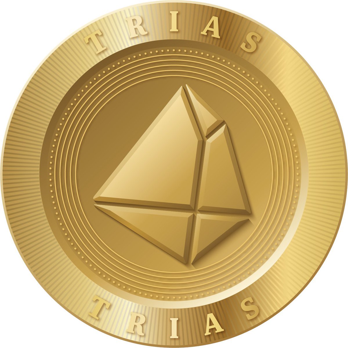 Miguel Anjos ❤️ Memecoin tweet media