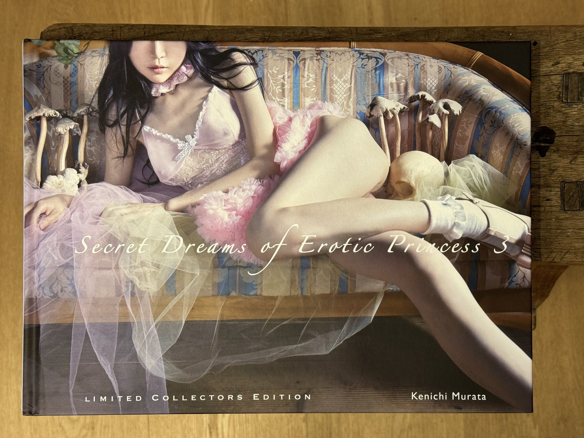 村田兼一『PRINCESS OF DESIRE』 - 洋書 村田兼一『PRINCESS OF DESIRE』 - 洋書