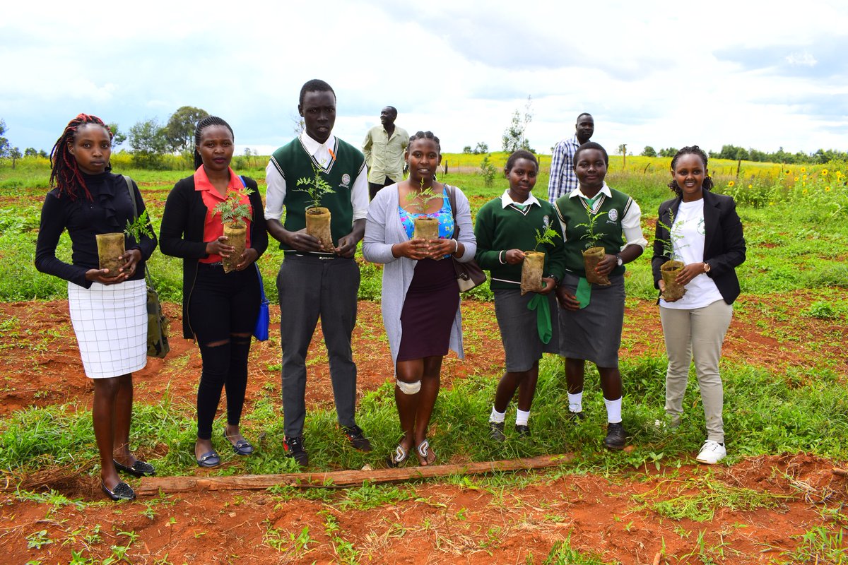 PaTree Initiative tweet media