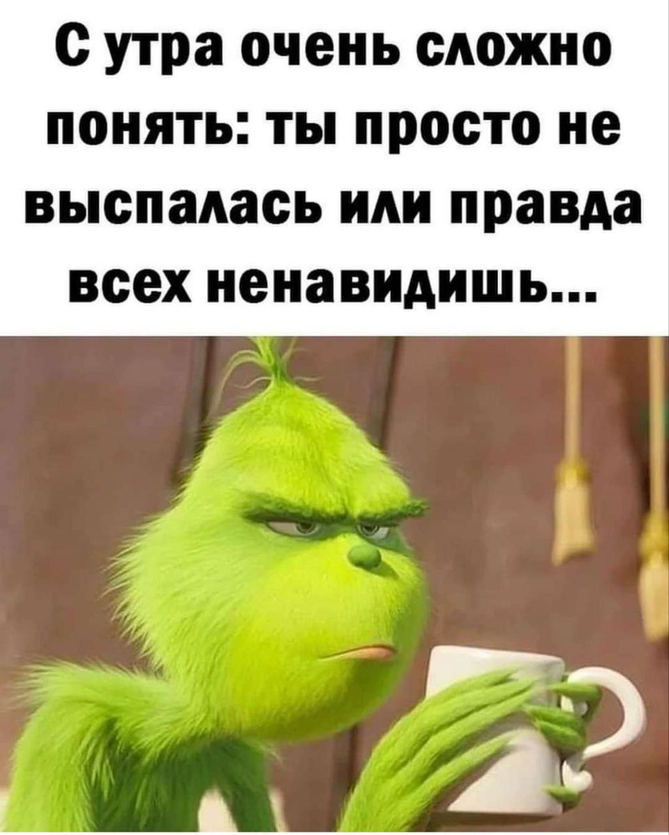 Dona Rumata tweet media