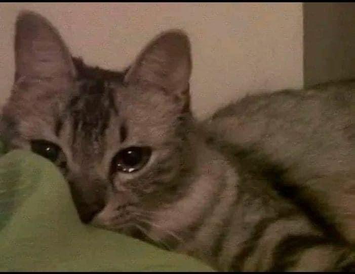 Yo ahorita pensando si en verdad valgo la pena