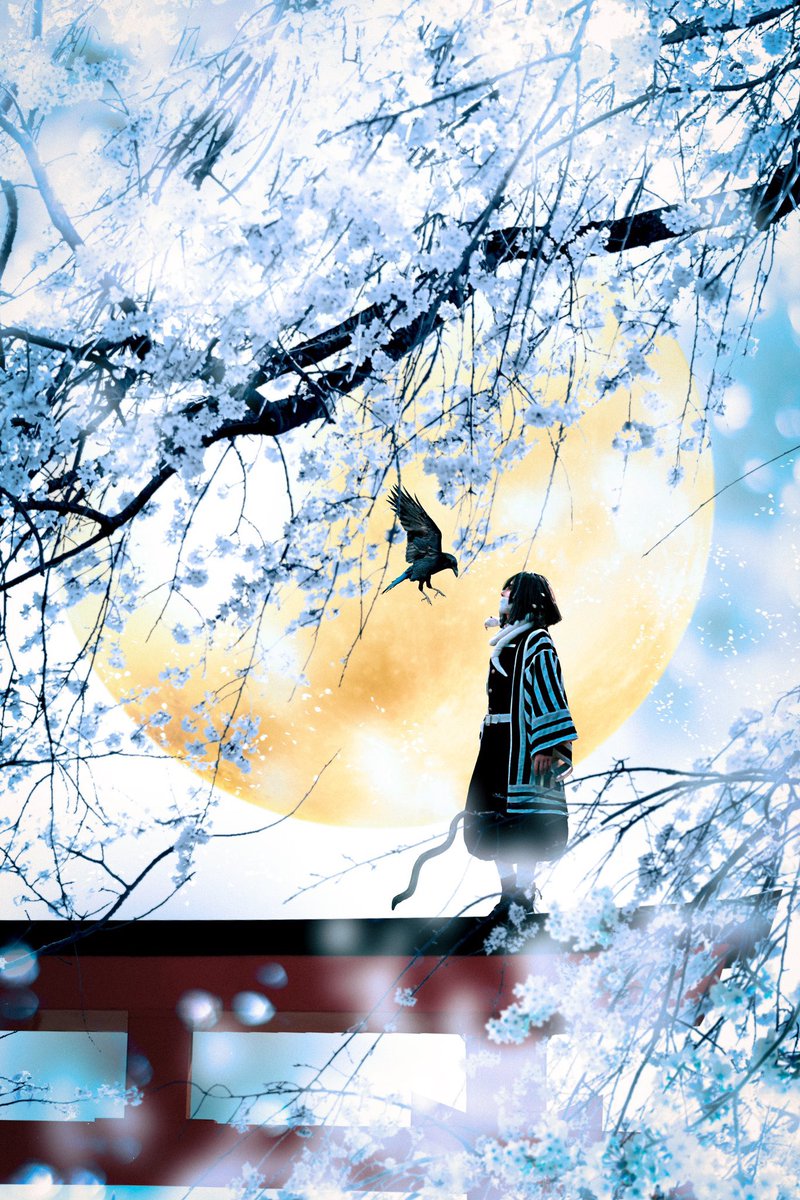 moon solo full moon japanese clothes 1girl black hair torii  illustration images