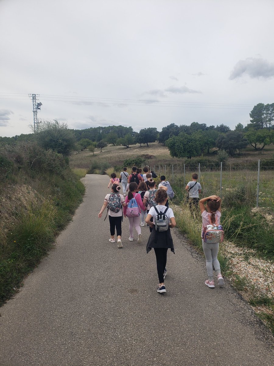 Joan Moragues tweet media