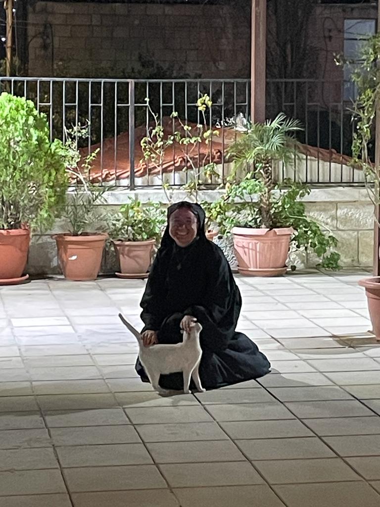 Friends: Wow, you got to hang out with so many important church leaders this week!
Me: also, THERE WAS A CAT!