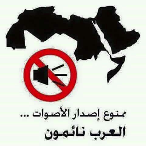 أمة نائمة 
تركت بشائر الاسلام
تنتظر النصر بلا جهد
وفي الأحلام
يداعبها احاديث عدوها عن العيش الرغيد
و العهد الجديد
والسلام
يحاصرها
ويقتل أطفالها ونساؤها وشيوخها 
تمنعهم من البكاء 
وتستمر بين التنديد و إطلاق النشيد 
حيا على السلام
حيا على السلام !!
#غزة_العزة 
#غزة_تنتصر 
#بووائل