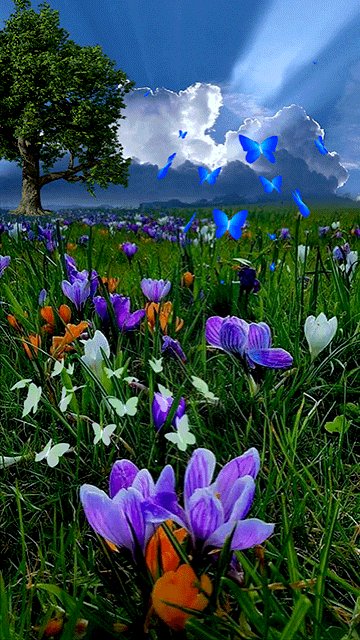 " الانشغال نعمة، والوقت المُمتلئ نعمة، وترتيب المهام نعمة، ووجود أهداف يحقِّقها الإنسان في يومه نعمة، والعمل نعمة، لأنَّ الفراغ أكبر نقمة قد يواجهها المرء في حياته